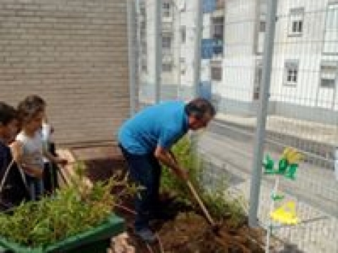 Preparação da horta do 1ºciclo com a colaboração de um avô do 2ºano. Limpeza do terreno e preparação do mesmo.